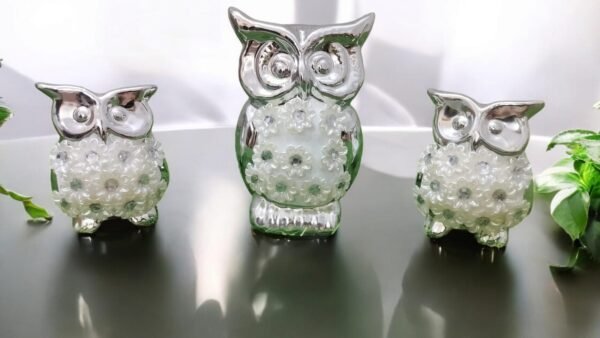 Set of 3 Stylish and Glamorous Silver Owls Showpiece with Flowers