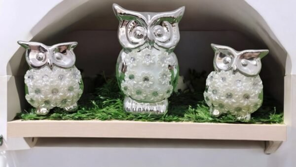 Set of 3 Stylish and Glamorous Silver Owls Showpiece with Flowers